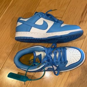 Woman’s Carolina Nike Dunks